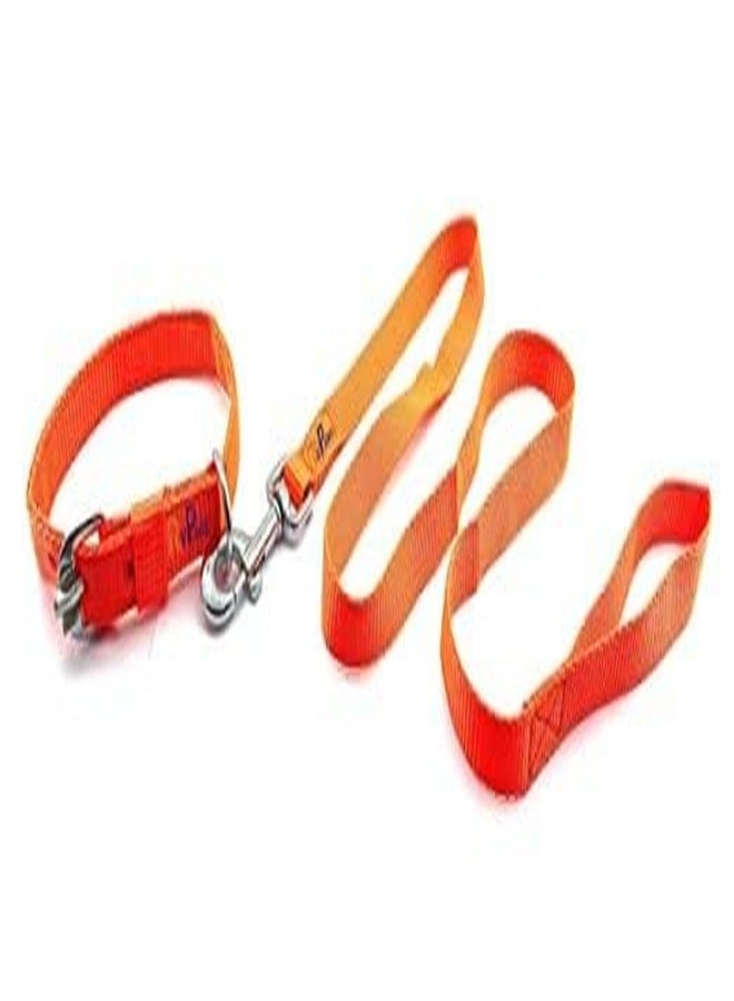 Pups&Pets طقم طوق ومقود من النايلون من Pups&Pets مقاس 22 مم، طقم طوق ومقود قابل للتعديل بشريط ناعم مقاس 0.75 بوصة، مثالي للكلاب الصغيرة والمتوسطة الحجم والجراء (برتقالي) - Image 2